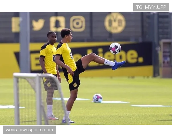 多特蒙德青训营与当地学校合作开展足球教育项目